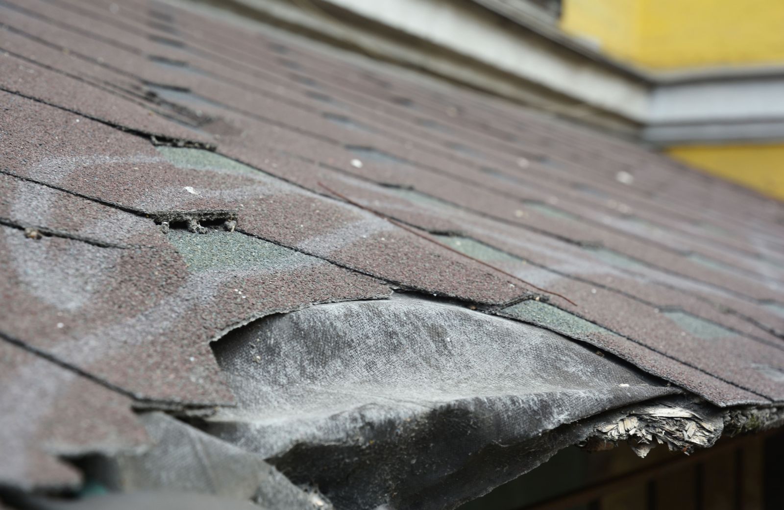 Tri-State Builders Images
